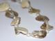 Ocean, Shell, halsband
