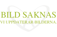 Sophia, halsband, b�rnsten i gruppen Halsband hos Anna Veronica Design Collection (HA0105)