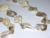 Ocean, Shell, halsband + armband